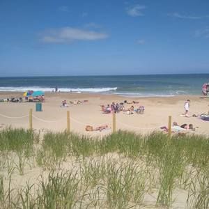 Meet your Posher, Renee